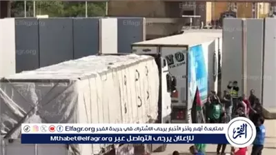 زاد العزة.. القافلة الإنسانية الـ25 من مصر تدخل غزة لدعم الفلسطينيين