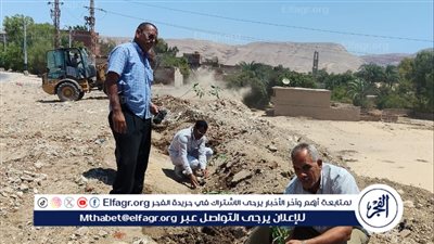 محافظ أسيوط يعلن عن استمرار أعمال التشجير وزراعة الشتلات بمركز البداري فى أسيوط 