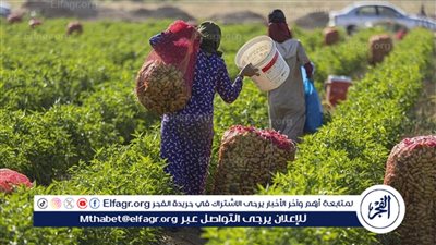 عاجل- سلامة الغذاء: 183 ألف طن صادرات إلى 186 دولة خلال أسبوع.. وحملات مكثفة لحماية المستهلك