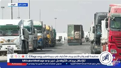 مصر تواصل إرسال المساعدات لغزة رغم العراقيل الإسرائيلية.. شاهد التفاصيل