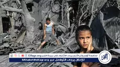 خبير دولي: ما يجري في غزة 