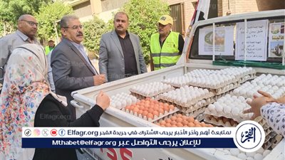 منافذ متنقلة لبيع بيض المائدة بأسعار مخفضة في القاهرة والجيزة