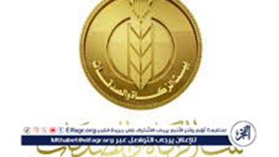 بيت الزكاة والصدقات يعلن صرف 500 جنيه إضافية بمناسبة المولد النبوي الشريف