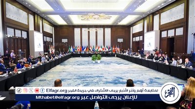  الخارجية: استضافة مصر لاجتماعات مجموعة العشرين حدث استثنائي 