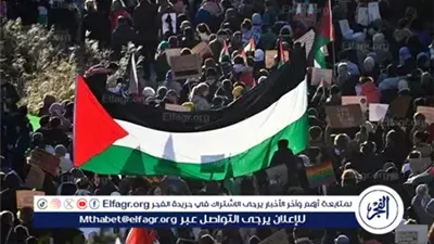 بلجيكا تعلن نيتها الاعتراف بدولة فلسطين وفرض عقوبات صارمة على إسرائيل