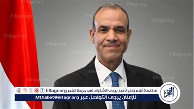وزير الخارجية لمجلس الأمن: لن نغض الطرف عن مصالحنا الوجودية في نهر النيل