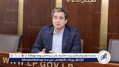 نائب لبناني: حصر السلاح بيد الدولة المدخل لترسيخ السيادة والاستقرار في لبنان