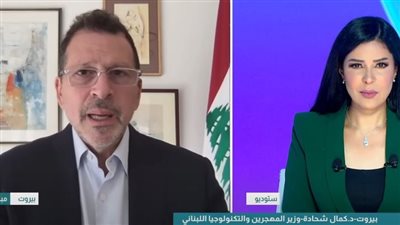 وزير لبناني: لا خلاف على مبدأ حصر السلاح وحكومتنا ملتزمة بالمؤسسات الشرعية