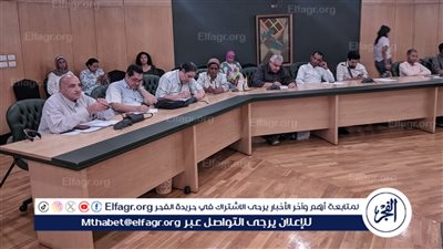 خالد البلشي: لا صحافة دون حرية إصدار وتداول المعلومات