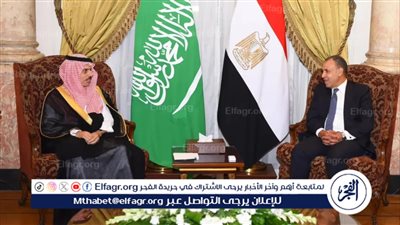 عاجل.. مصر والسعودية ترفضان عدوان غزة وتؤكدان تنسيقًا إقليميًا مشتركًا