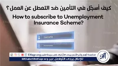 تأمين وتعويض البطالة 2025.. اعرف كيفية الاستفادة إذا كنت مشتركا بالتأمينات وأصبحت عاطلا