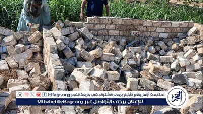 إزالة 15 حالة تعدي واسترداد 90 فدانًا أملاك دولة بأسيوط 