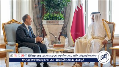 وزير الخارجية ينقل رسالة تضامن ودعم من السيسي إلى أمير قطر 