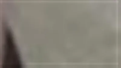 منال عوض توجه بالتعامل الفوري مع بلاغ العثور على تمساح بمياه البحر بمنطقة أبوتلات