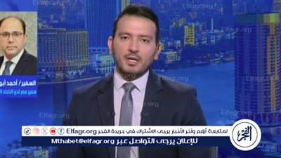 سفير مصر بالاتحاد الأوروبي يكشف عن خطوة جديدة لتعزيز الاعتراف بفلسطين والضغط على إسرائيل