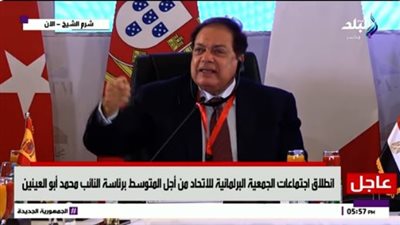 أبو العينين: لن نسمح بتصفية القضية الفلسطينية ونتنياهو يتحدى العالم(فيديو)