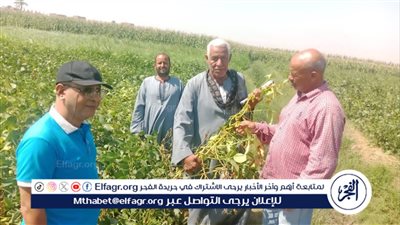 زراعة أسيوط تنظم يوما حقليا بمركز صدفا ضمن أنشطة مشروع ترشيد استخدام المياه 