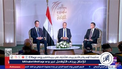 وزير الخارجية: السفارات في الخارج تمثل خط الدفاع الأول عن الدولة المصرية