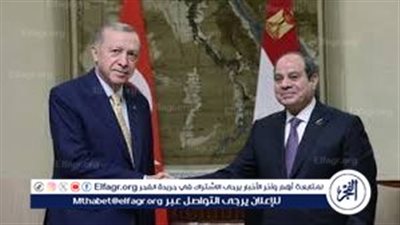 عاجل- السيسي وأردوغان يؤكدان وحدة الموقف ضد العدوان الإسرائيلي ويدعوان لتطبيق حل الدولتين