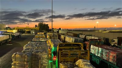 الهلال الأحمر المصري يدفع بأكثر من 122 ألف سلة غذائية عبر قافلة «زاد العزة» الـ 38 إلى غزة