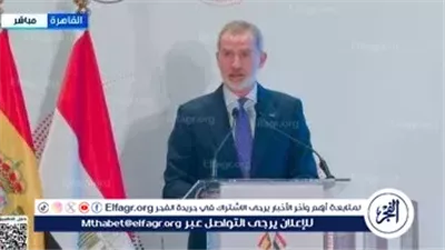 ملك إسبانيا: أكثر من 60 شركة إسبانية مستقرة بمصر تسهم في تعزيز الشراكة الاقتصادية