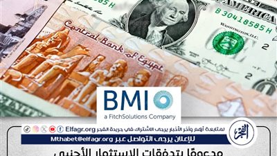 فيتش: تحسن أداء الجنيه أمام الدولار بدعم من زيادة الاستثمارات واستقرار الاقتصاد المصري