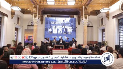 سينما في الجول ضمن فعاليات ميدفست مصر.. نقاش حول التوازن النفسي وإشادة بنجاح فيلم 