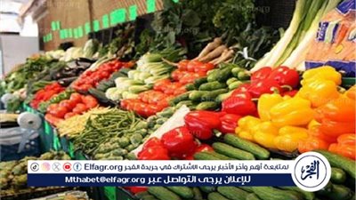 أسعار الخضروات اليوم السبت 20 سبتمبر 2025 بأسواق الأقصر