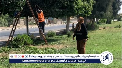 التطوير والتجميل بالإسماعيلية يواصل أعمال رفع كفاءة مداخل ومخارج المحافظة