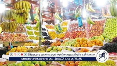 أسعار الفاكهة اليوم الأحد 21-9-2025 في الشرقية