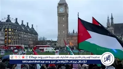 نائبة بريطانية: الاعتراف بدولة فلسطين إقرار بحقوق شعبها