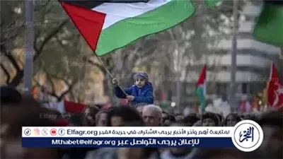 من القاهرة إلى نيويورك.. الاعتراف الدولي بفلسطين تتويج لجهود الدبلوماسية المصرية