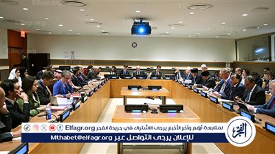 رئيس الوزراء يشارك في اجتماع 