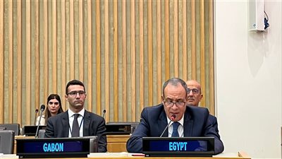 وزير الخارجية يشارك في الاجتماع الوزاري التنسيقي لوزراء خارجية منظمة التعاون الإسلامي