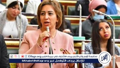 الحزب المصري الديمقراطي: نستهدف الطبقة الوسطى ونعد بحلول واقعية للمشاكل العامة