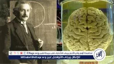 تقنية صينية متطورة تعيد الأمل فى كشف أسرار دماغ أينشتاين