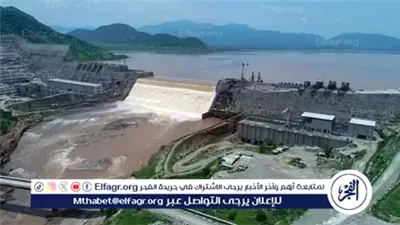 عباس شراقي: ارتفاع منسوب النيل في السودان مع زيادة التفريغ من سد النهضة