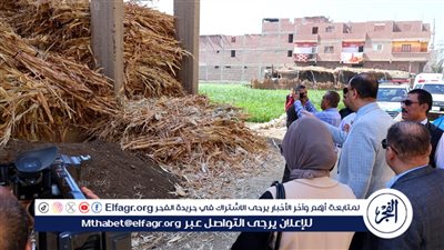 محافظ سوهاج: إحالة موظف للتحقيق سبب تراكم مخالفات البوص 