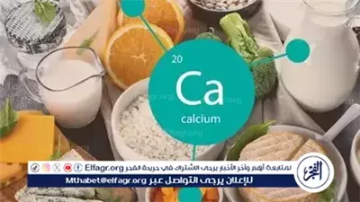 علامات نقص الكالسيوم لدى النساء.. مؤشرات مبكرة لا يجب تجاهلها
