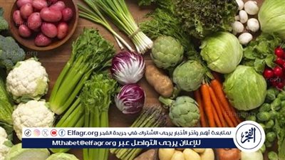  أسعار الخضروات بأسواق المنيا اليوم الإثنين29 سبتمبر 2025 وسط ضغط على بعض الأصناف