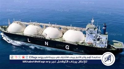 هل تكدست سفن الغاز المسال في الموانيء المصرية ؟ خبير يوضح