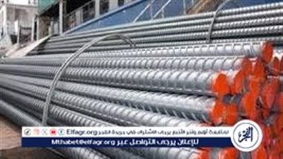 أسعار الحديد اليوم الاربعاء 1-10-2025 في الدقهلية 