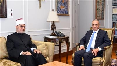 وزير الخارجية يلتقى مع فضيلة مفتى الجمهورية