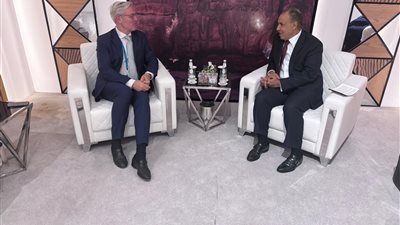 وزير الخارجية يلتقى مع نائب رئيس الكتلة البرلمانية الألمانية