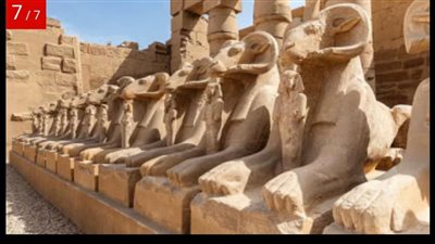 الصحف الهندية تختار الأقصر ضمن أعرق ست مدن في العالم والمقصد المصري من أبرز 10 وجهات سياحة الطعام بالشرق الأوسط