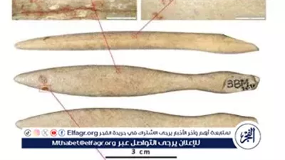 اكتشاف أثري نادر: أقدم قطعة من عاج فرس النهر في شبه الجزيرة الأيبيرية
