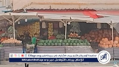 الطماطم ب20جنيه الكيلو بمطروح اليوم