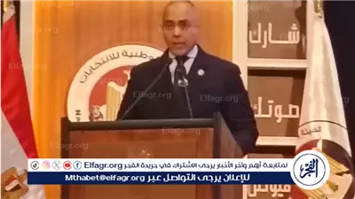 عاجل- مدير الجهاز التنفيذي للهيئة الوطنية للانتخابات: مصر دولة قوية راسخة في الديمقراطية