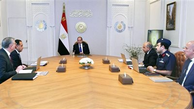 الرئيس السيسي يوجّه بالإسراع في استكمال منظومة التغذية الكهربائية لمشروع 