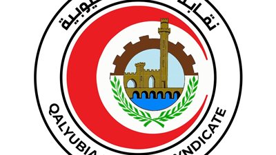 الجمعة المقبلة.. انتخابات التجديد النصفي لنقابة أطباء القليوبية ببنها تحت إشراف قضائي كامل